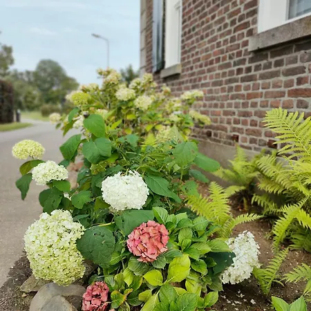 In De Roos * Lottum